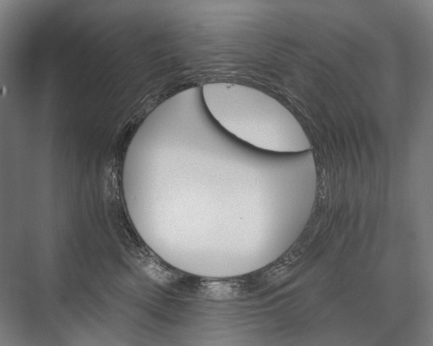 X0000076390522200610060907