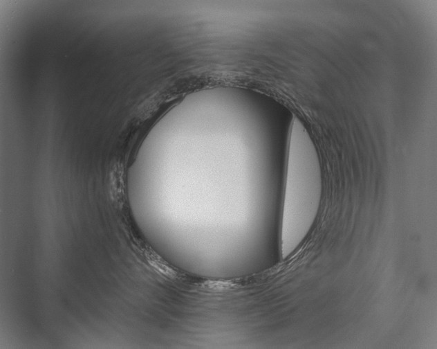 X0000076390528200610060907