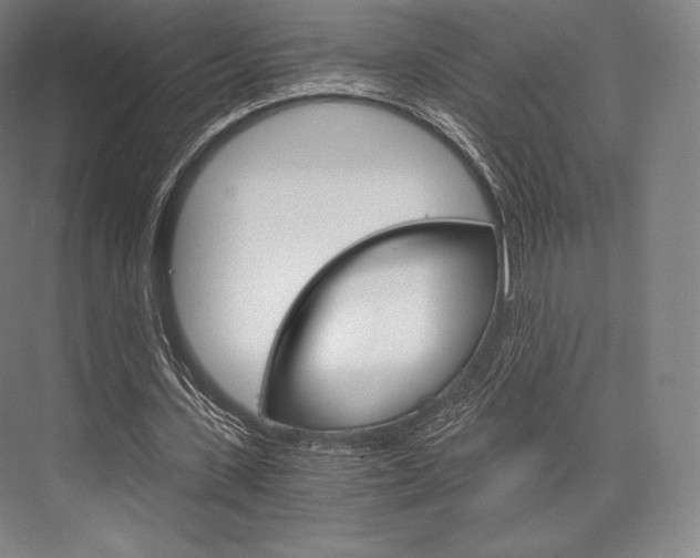 X0000076390531200610060906