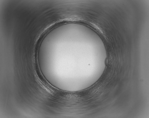 X0000076390535200610060906
