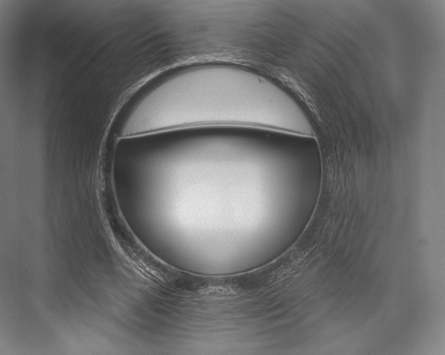 X0000076390536200610060906