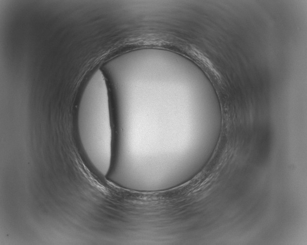X0000076390537200610060906