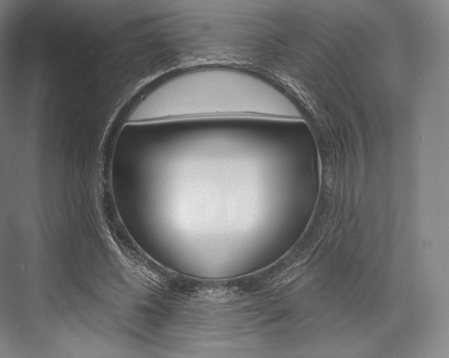X0000076390540200610060906