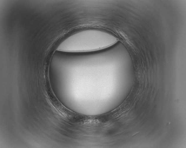 X0000076390543200610060906