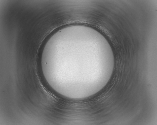 X0000076390544200610060906