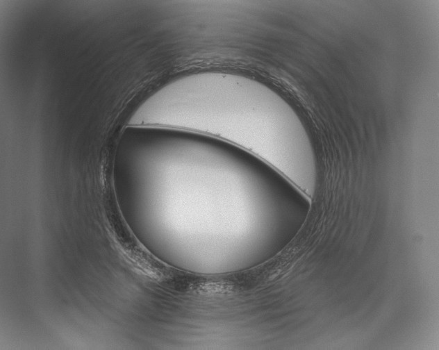 X0000076390546200610060906