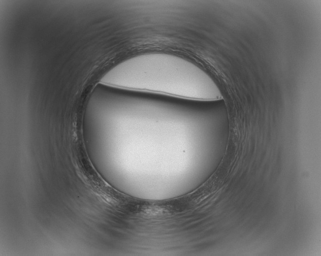X0000076390547200610060906