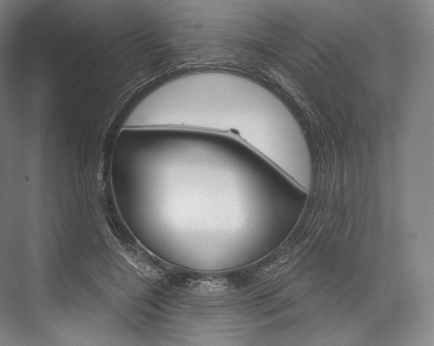 X0000076390548200610060906