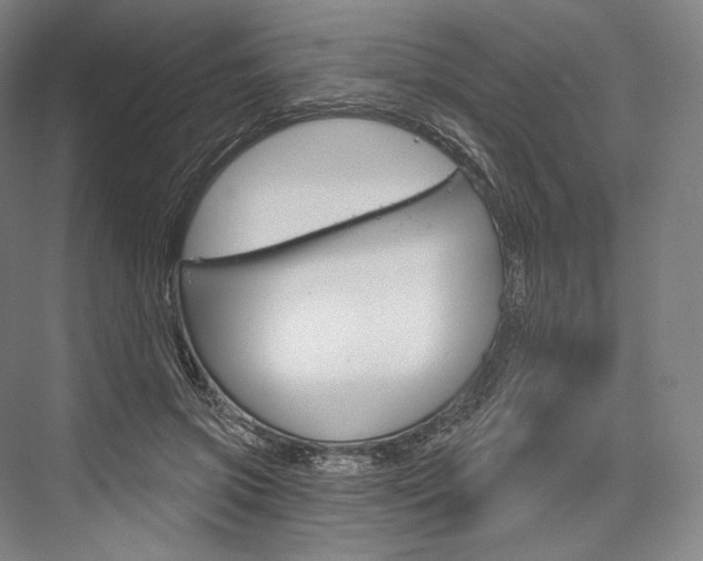 X0000076390549200610060906