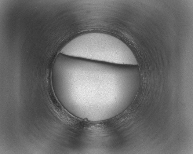 X0000076390550200610060906