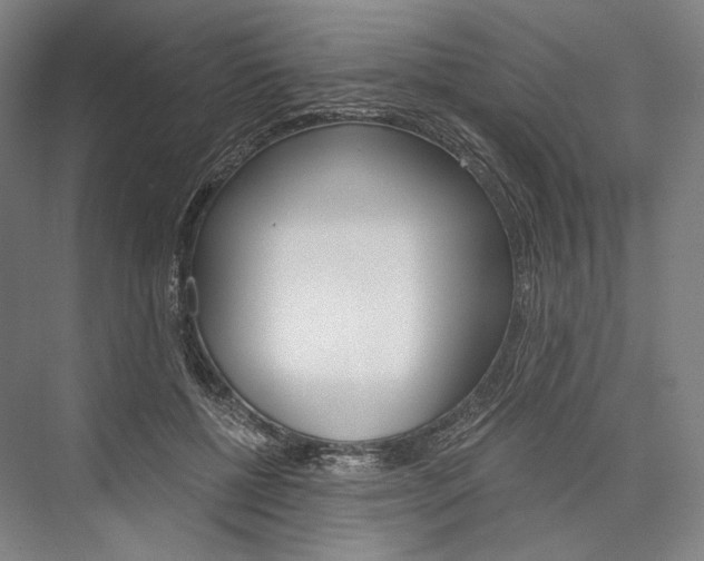 X0000076390552200610060906