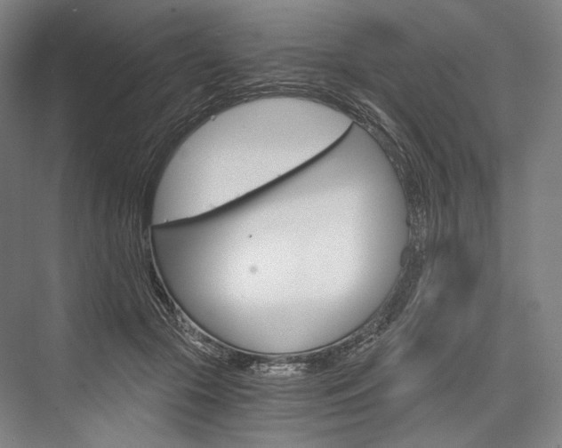 X0000076390553200610060906