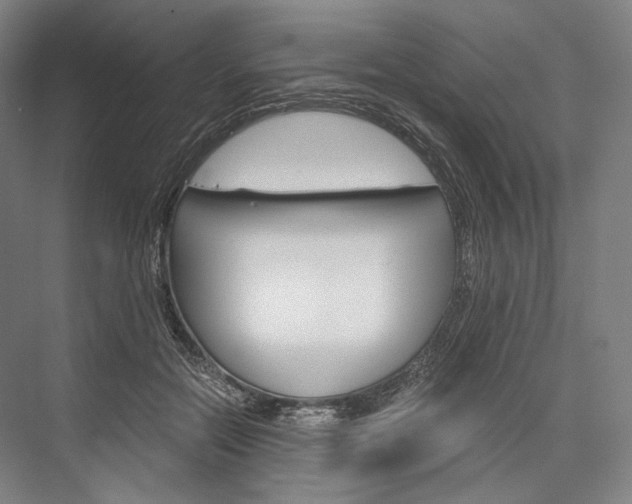 X0000076390554200610060906