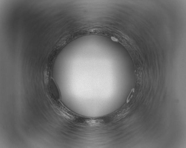 X0000076390558200610060906