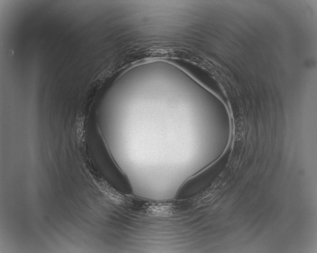 X0000076390560200610060906