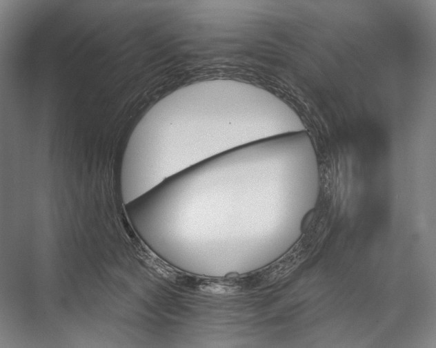 X0000076390561200610060906