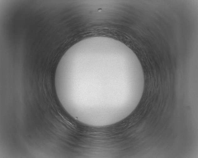 X0000076390562200610060906