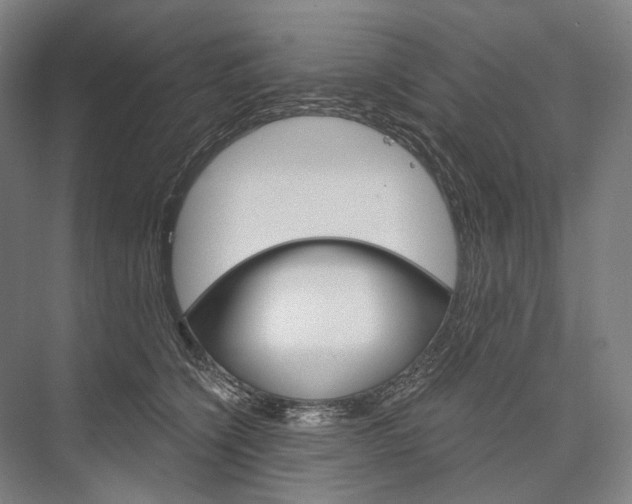 X0000076390564200610060906