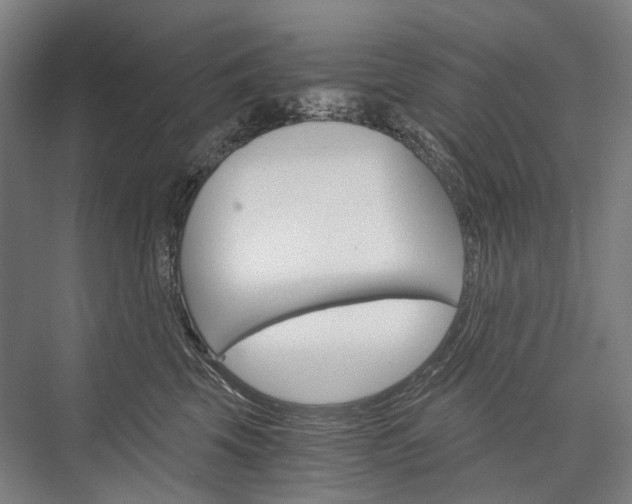 X0000076390569200610060907