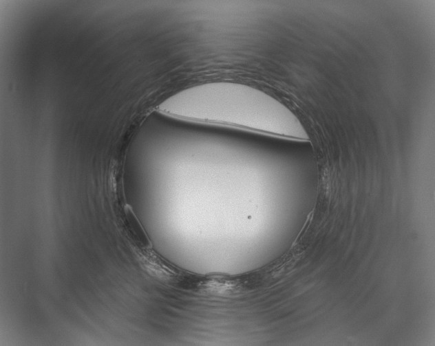X0000076390570200610060907