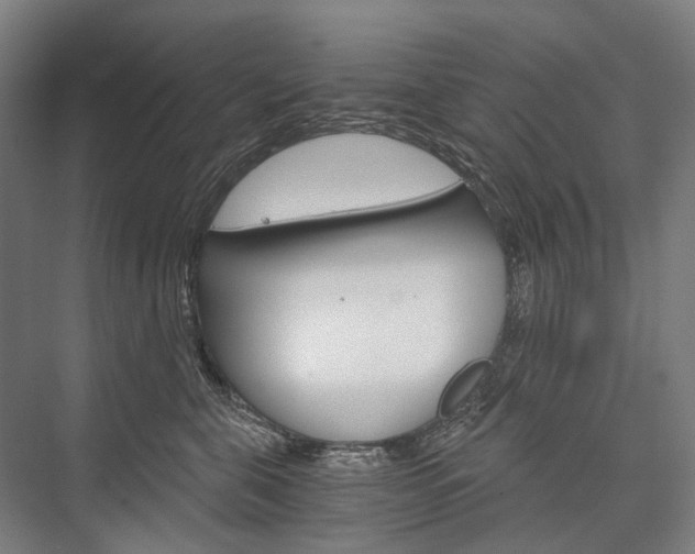 X0000076390571200610060907
