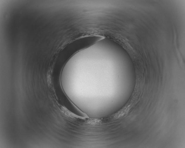 X0000076390576200610060907