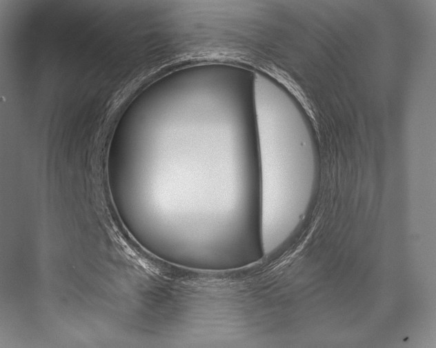 X0000076390577200610060906