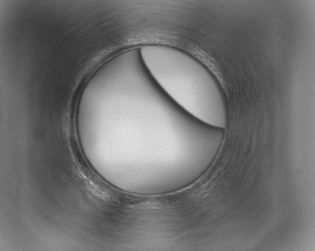 X0000076390578200610060906