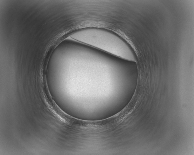 X0000076390581200610060906