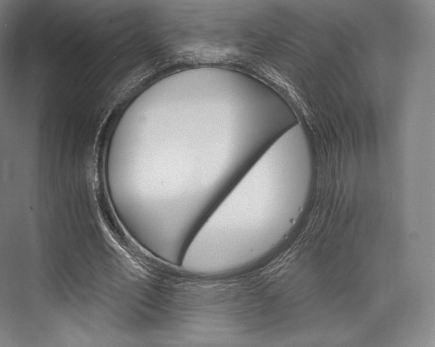 X0000076390582200610060906
