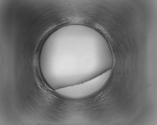 X0000076390583200610060906