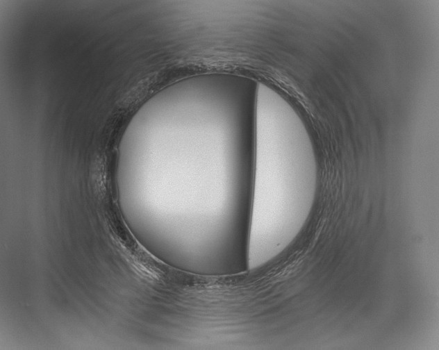 X0000076390593200610060906