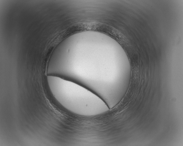 X0000076390594200610060906