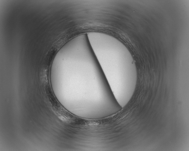 X0000076390598200610060906
