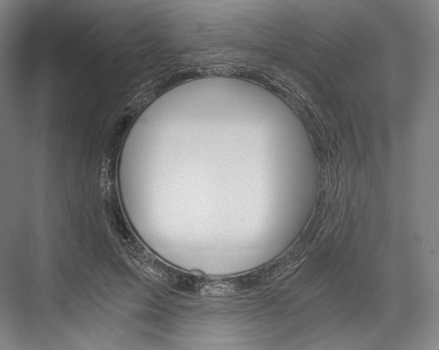 X0000076390599200610060906