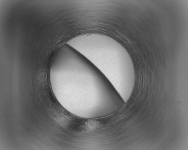 X0000076390603200610060905