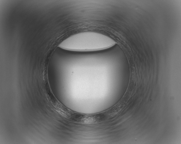 X0000076390604200610060905