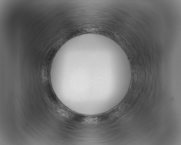 X0000076390606200610060905