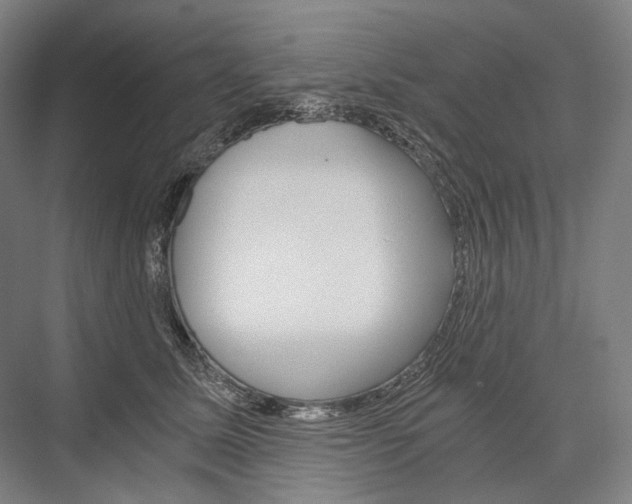 X0000076390611200610060905