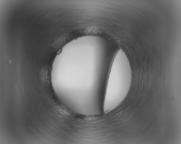 X0000076390619200610060905