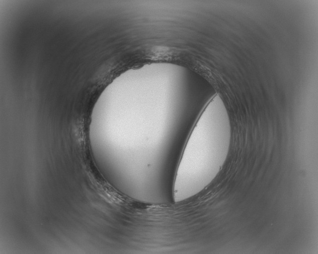 X0000076390620200610060905