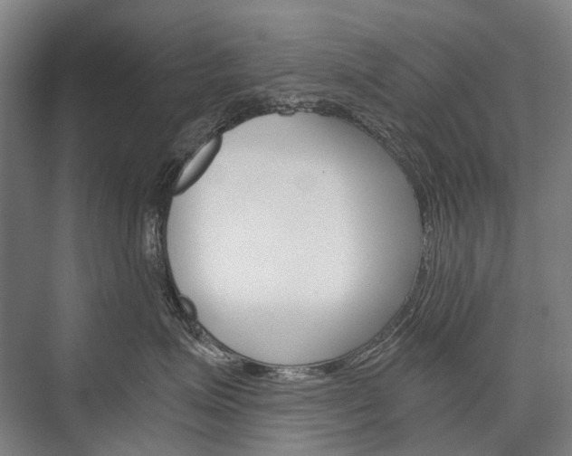 X0000076390623200610060905