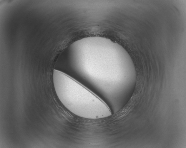 X0000076390624200610060905