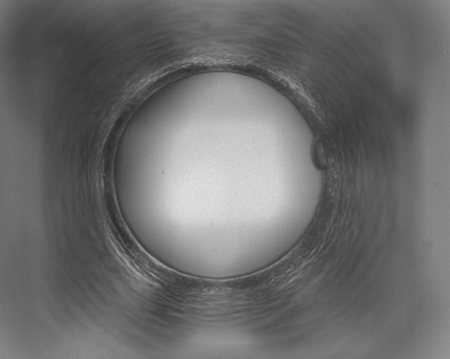 X0000076390631200610060904