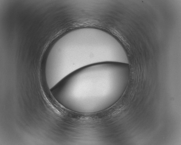 X0000076390634200610060904