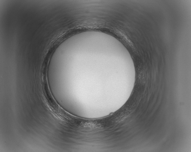 X0000076390635200610060904