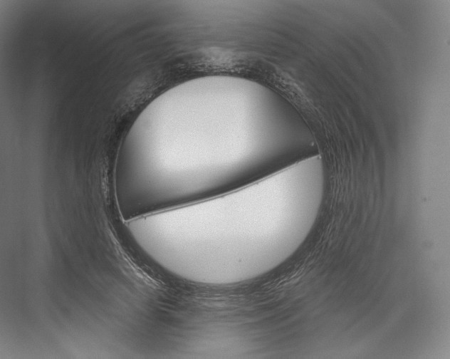 X0000076390642200610060905
