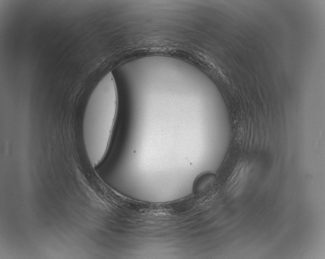 X0000076390643200610060905