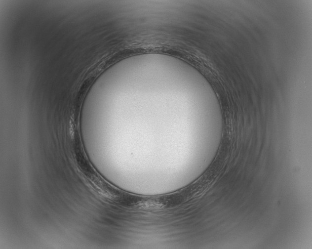 X0000076390644200610060905