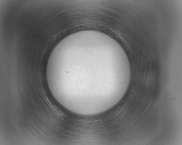 X0000076390645200610060905